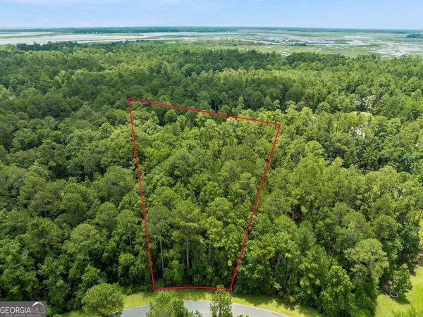 V/L 185 Sunrise Drive, Woodbine, GA 31569