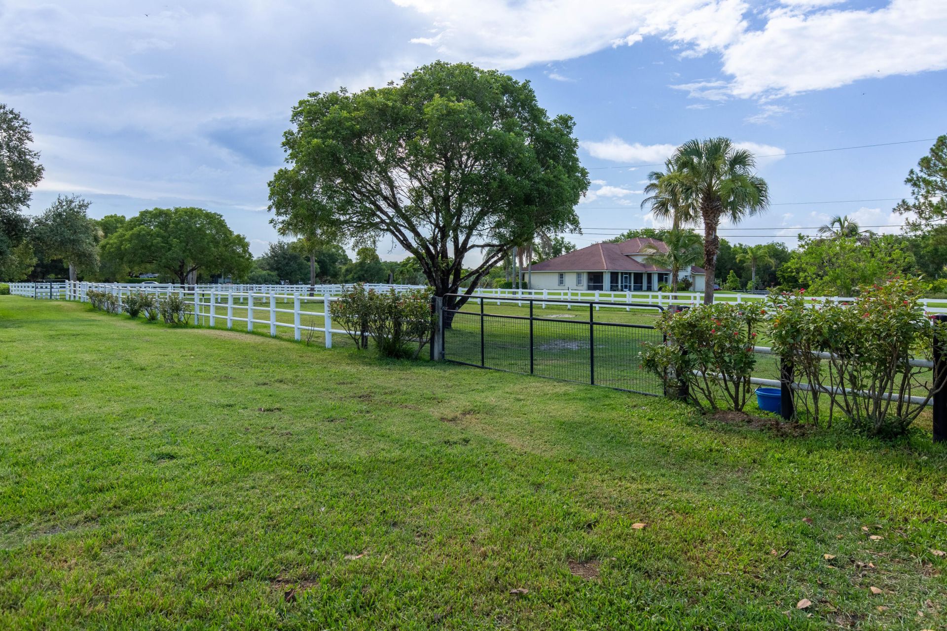 844 Arabian Drive, Loxahatchee, FL 33470 Photo