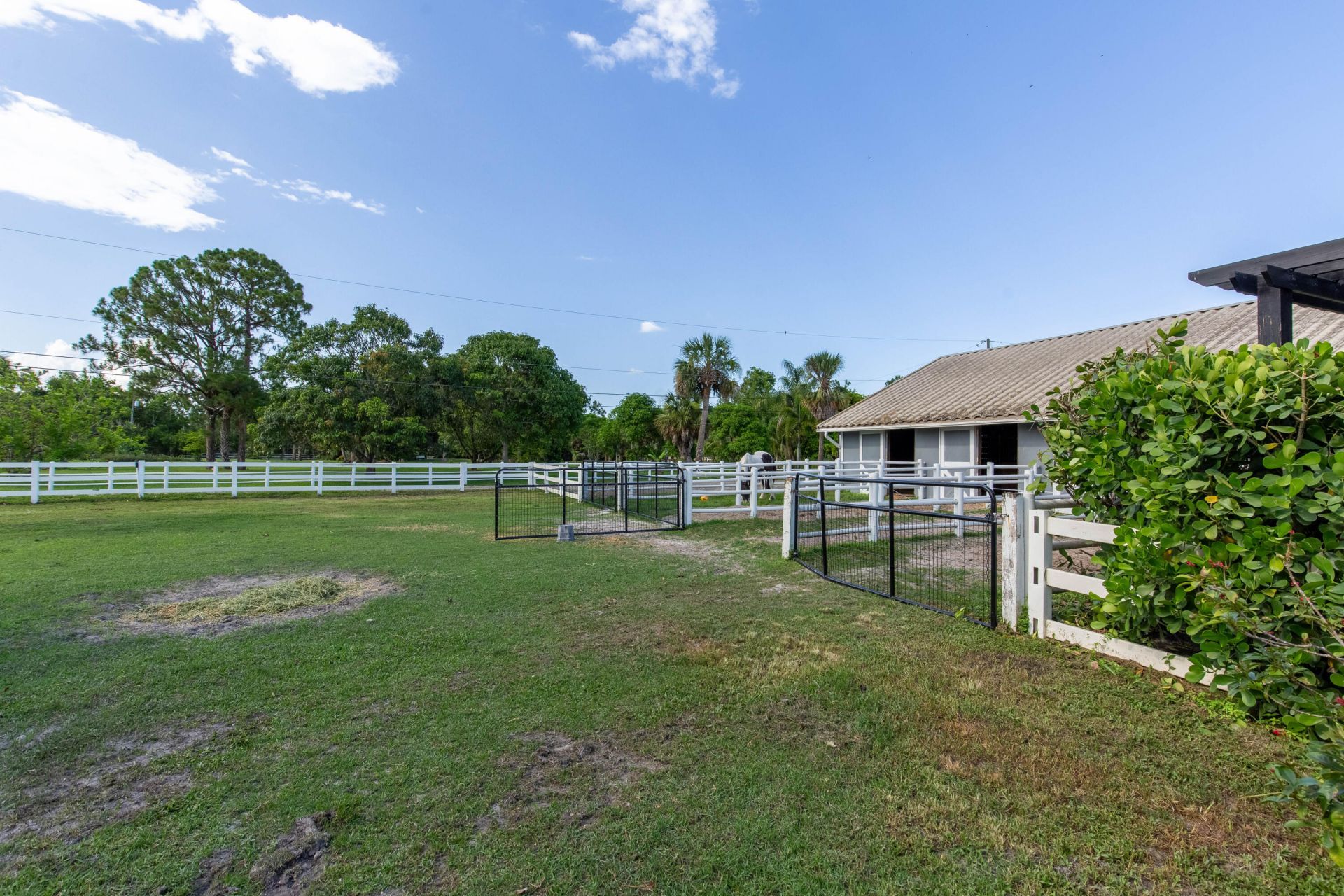 844 Arabian Drive, Loxahatchee, FL 33470 Photo