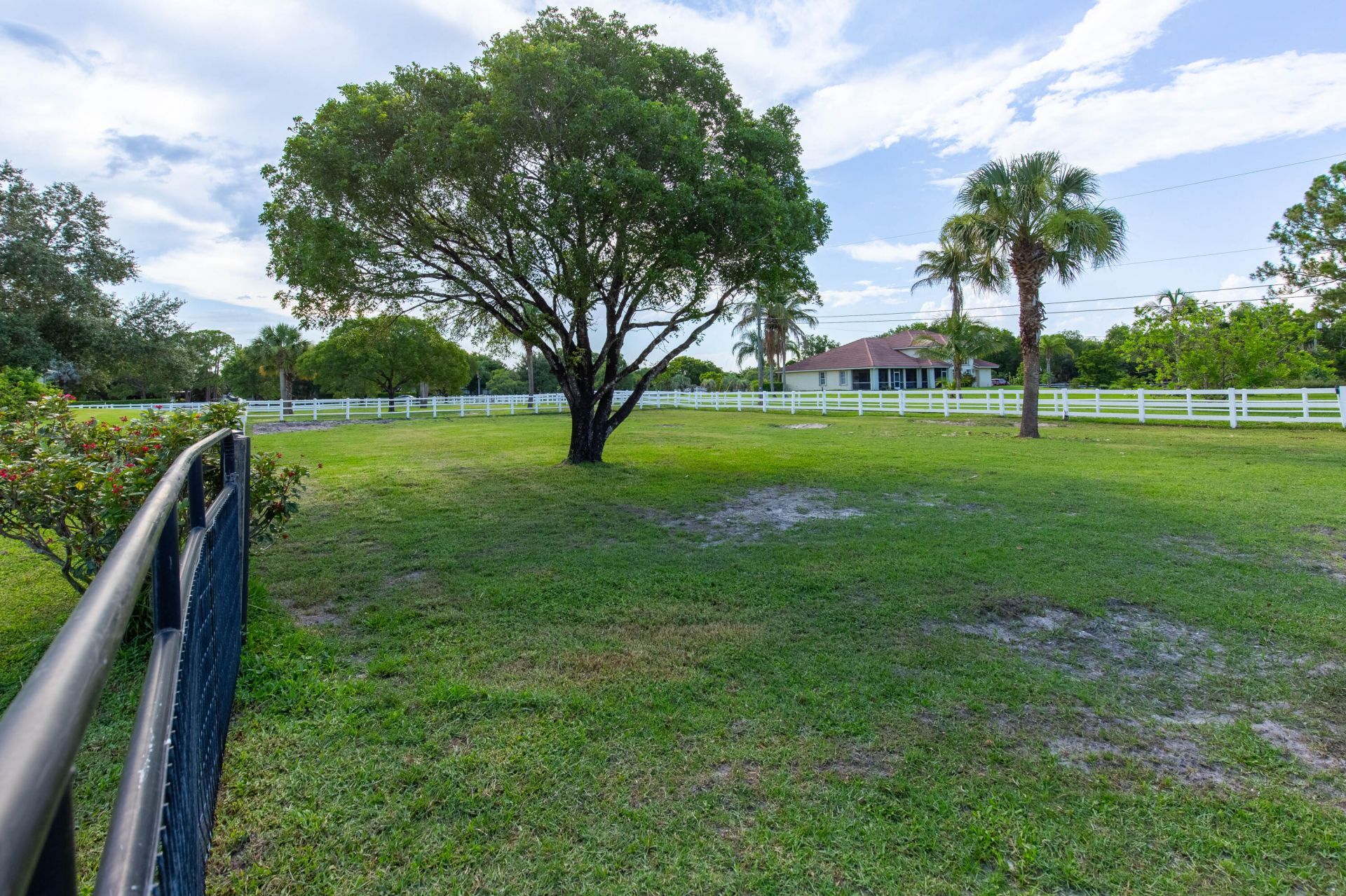 844 Arabian Drive, Loxahatchee, FL 33470 Photo