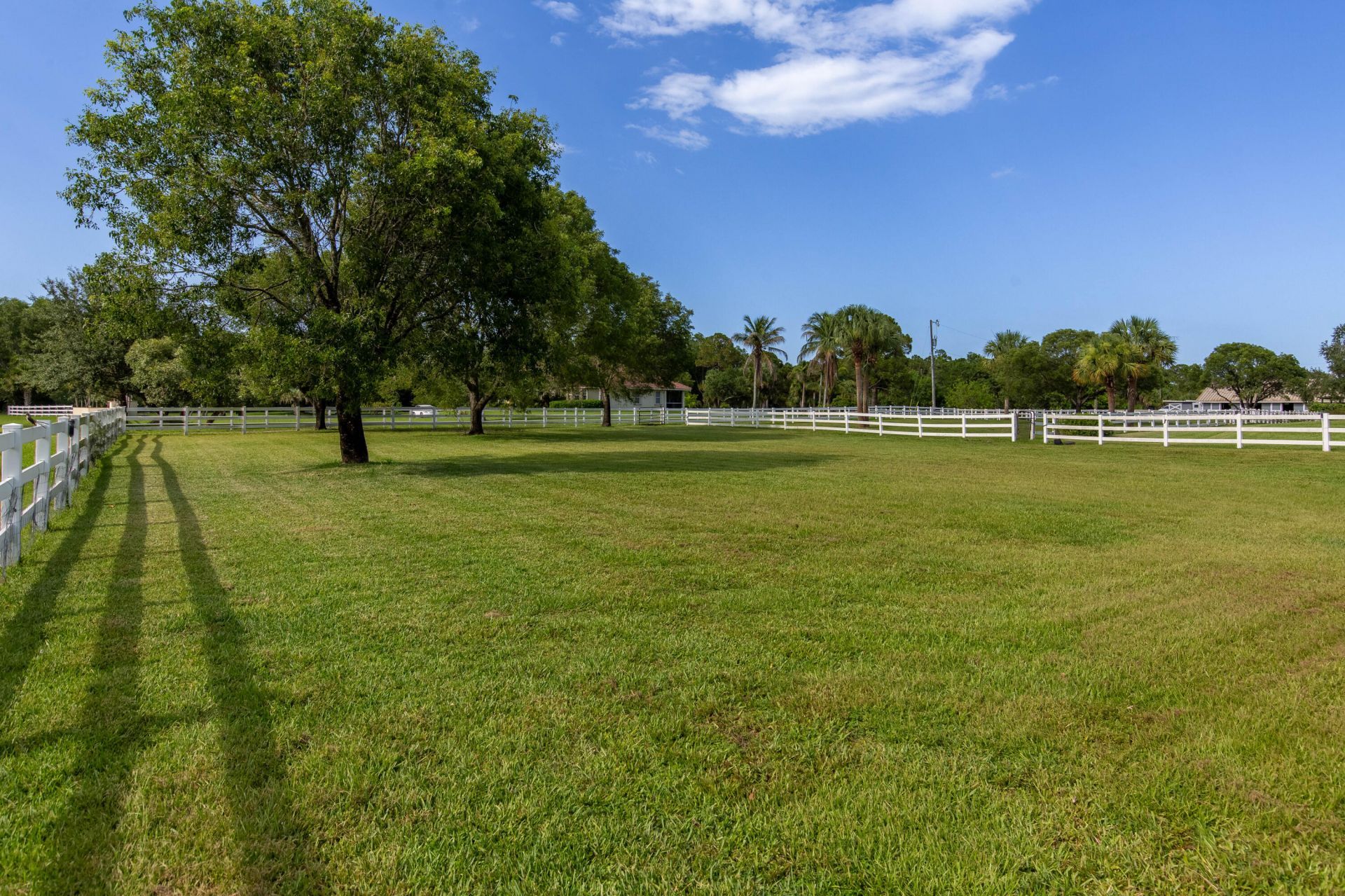844 Arabian Drive, Loxahatchee, FL 33470 Photo