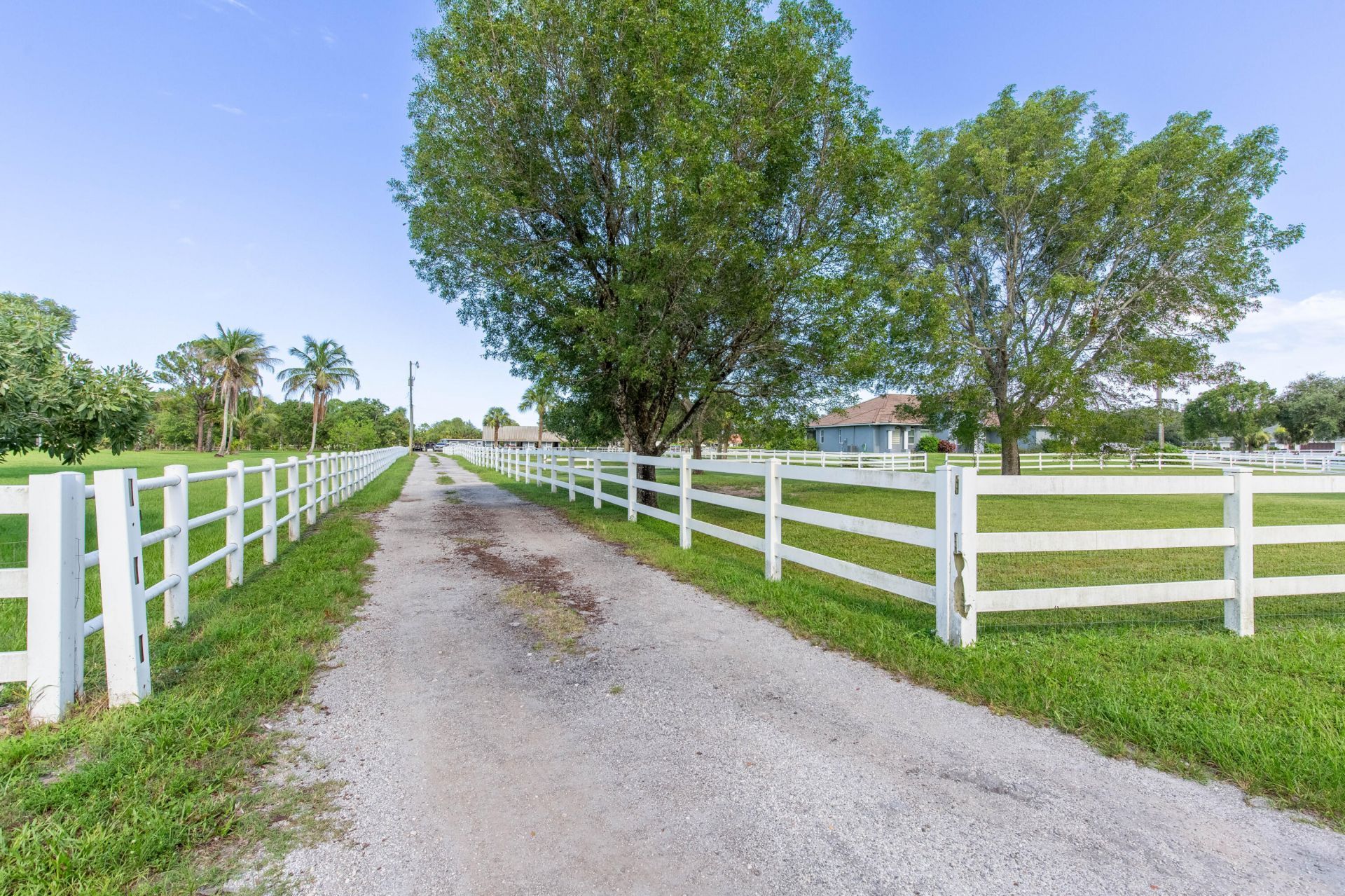 844 Arabian Drive, Loxahatchee, FL 33470 Photo