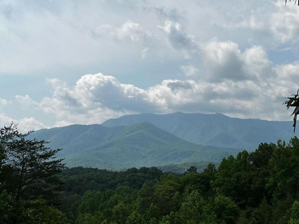 2 Vista Drive , Unit 2, Gatlinburg, TN 37738