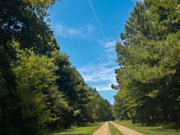 N US-259 Highway, Broken Bow, OK 74728