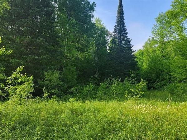 40A On Doland Rd, Winter, WI 54896