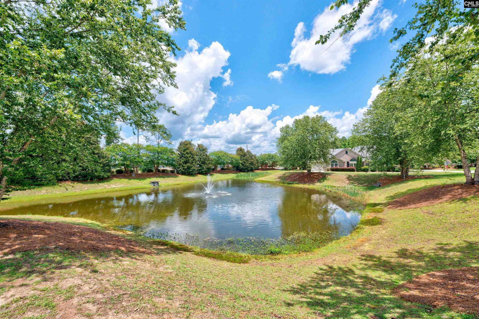 125 Peach Grove Circle  Photo 34
