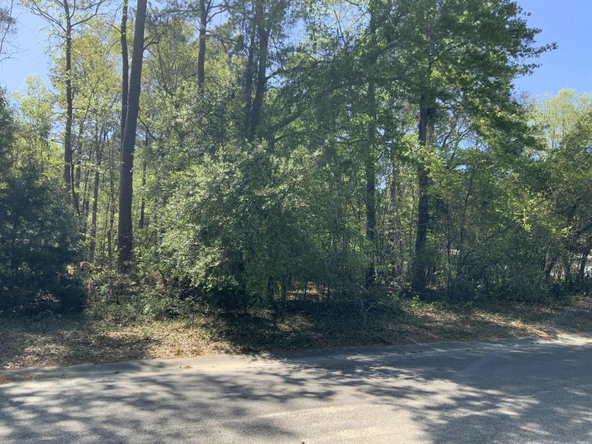 0 Ash Hill Drive Photo 1