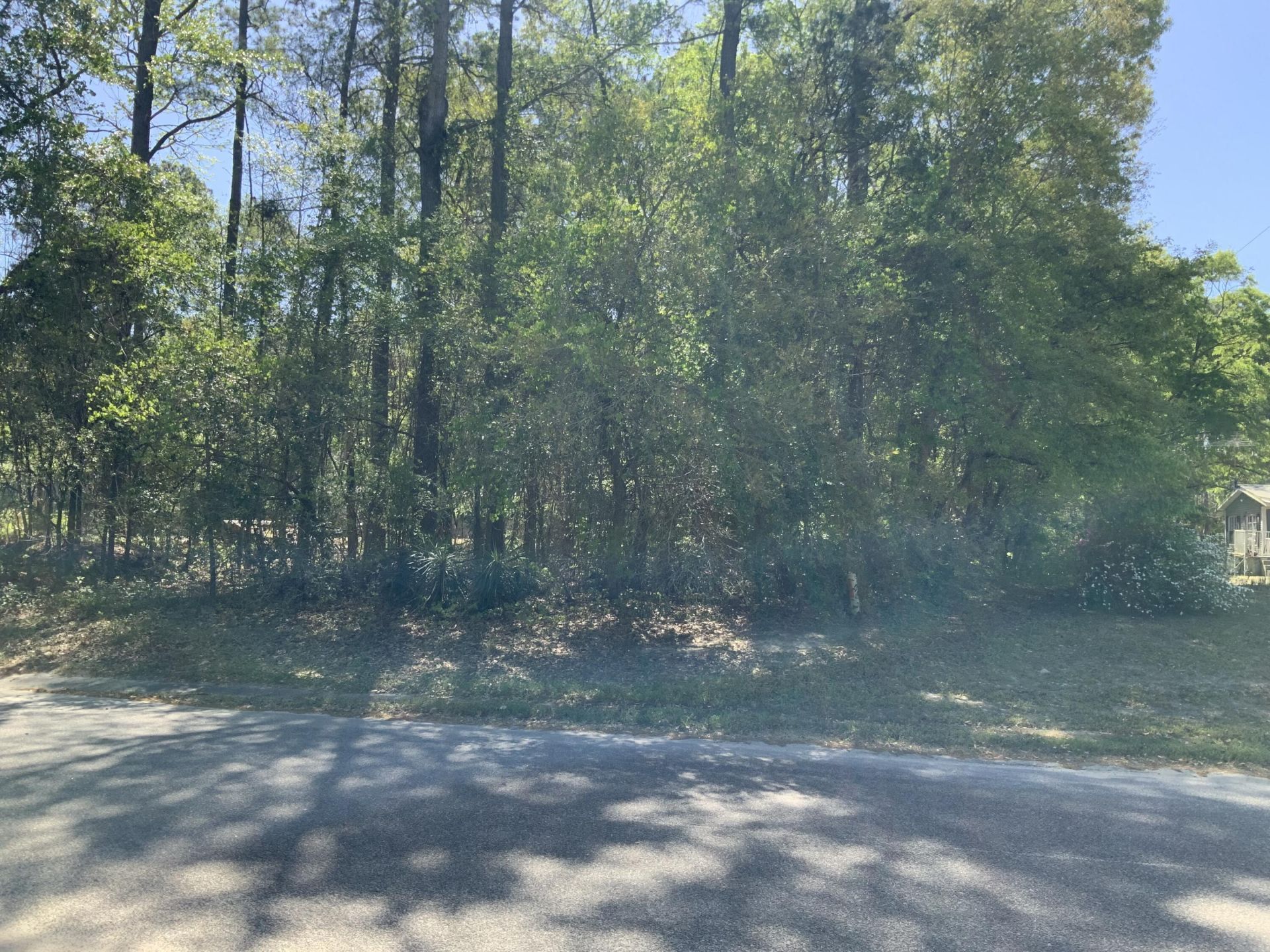 0 Ash Hill Drive Photo 2