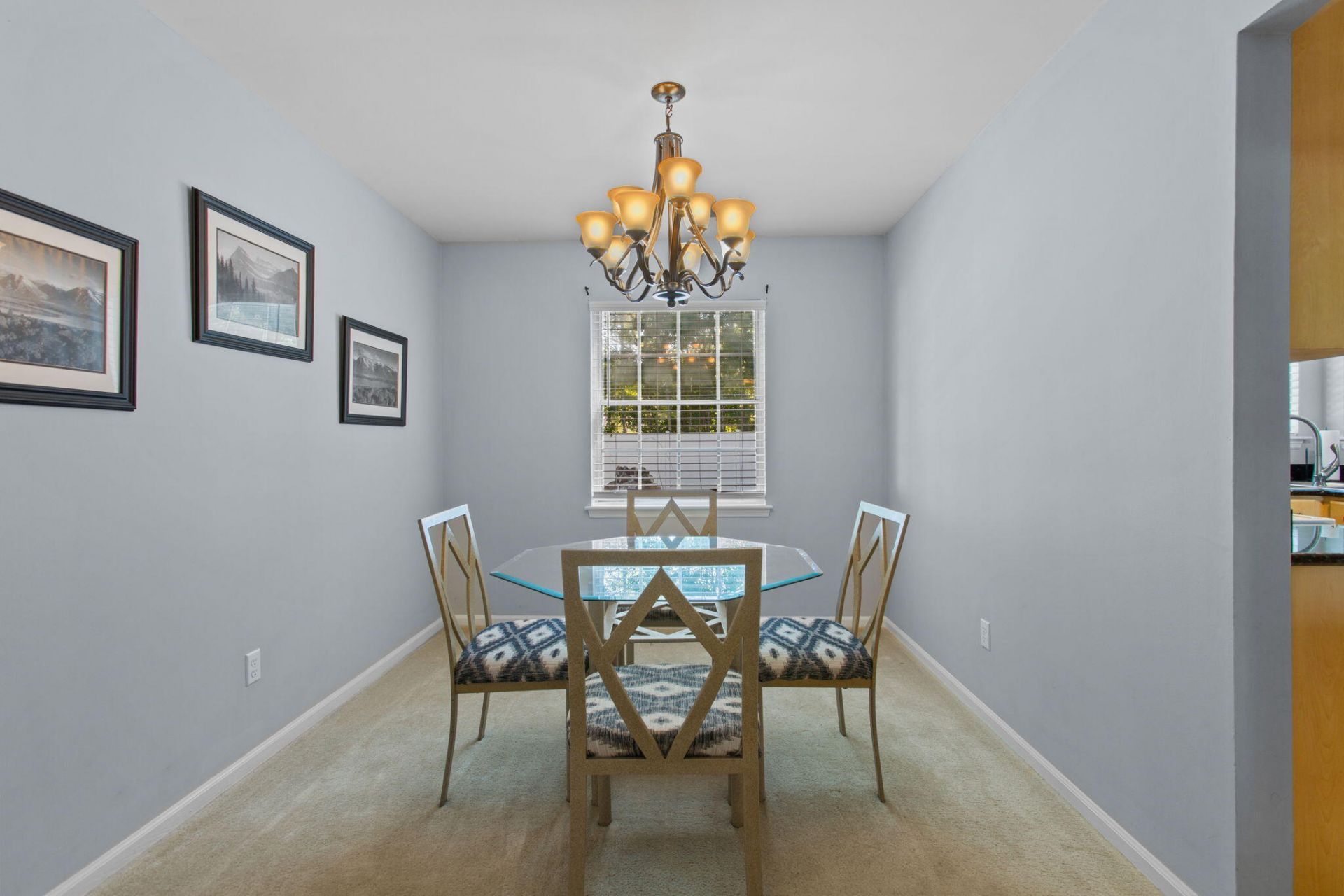 101 Santee Court Photo 10