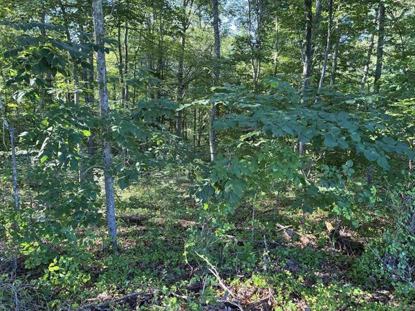 312 Vaughn Road , Louisa, KY 41230