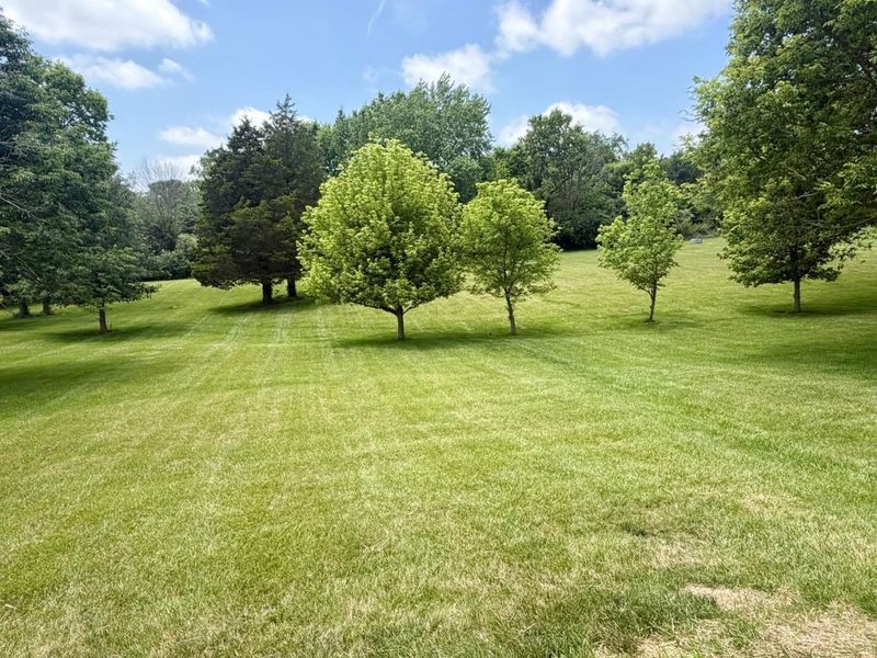 8761 N St Rt 503, Harrison Twp, OH 45338 Photo 5