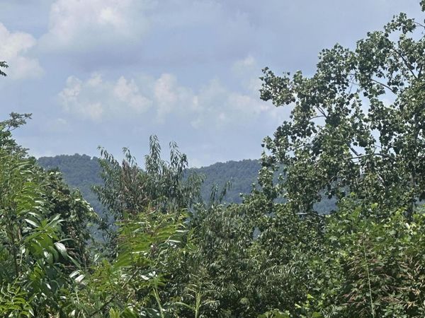 560 Low Valley Rd, Dandridge, TN 37725