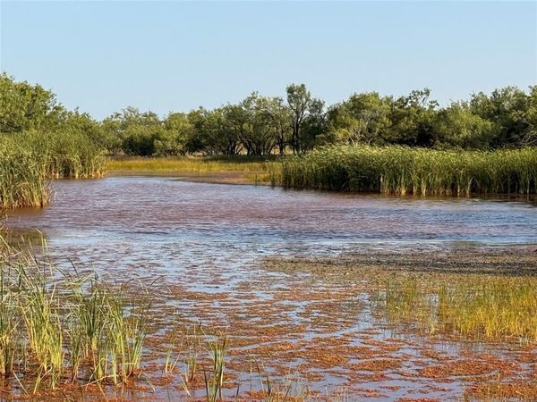TBD TR 8 FM 604 , Ovalo, TX 79541