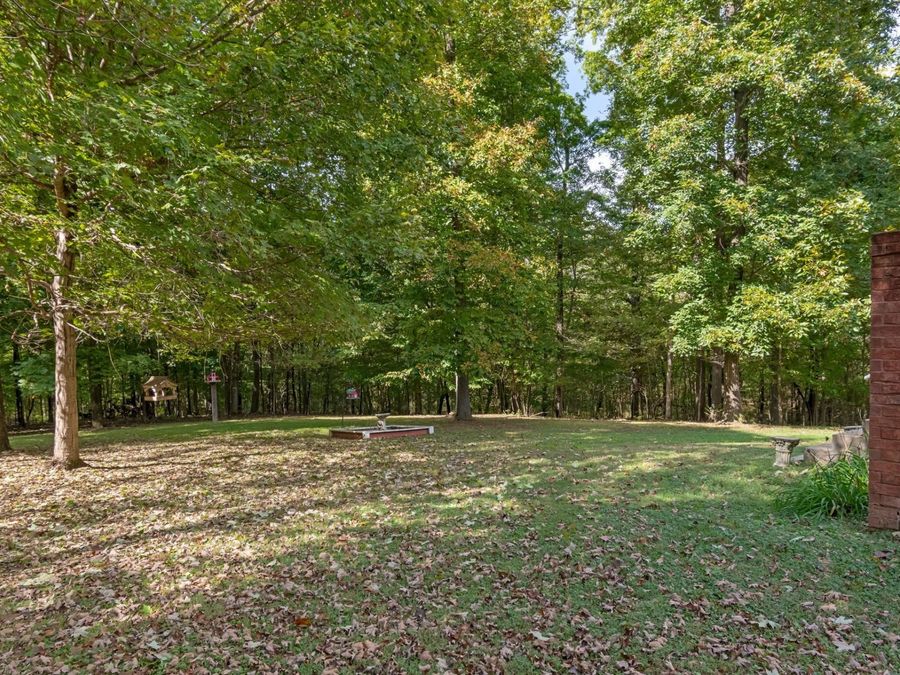 Property Image 53