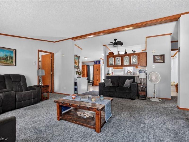 325 Britton Drive, Geneva, OH 44041 Photo 10