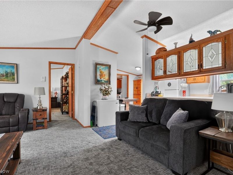 325 Britton Drive, Geneva, OH 44041 Photo 18