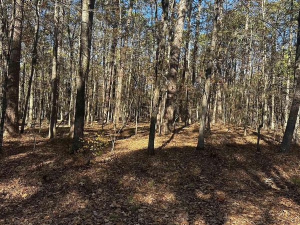 4 Holgar Lane , Hot Springs Village, AR 71909