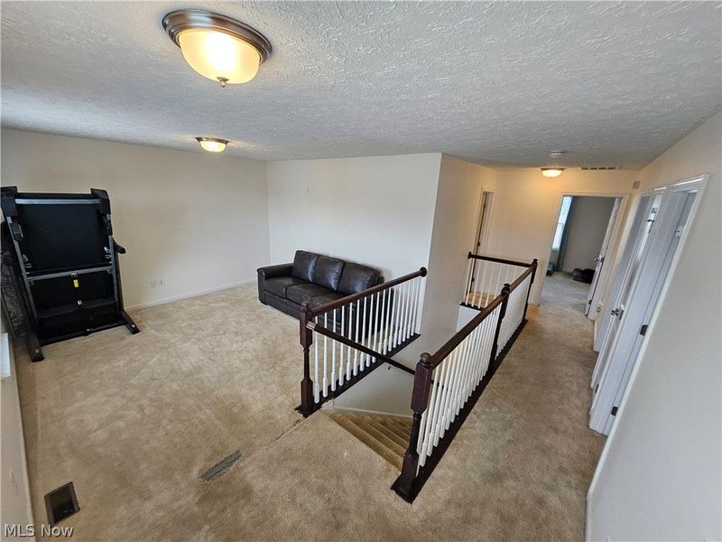 6534 Wisteria Lane, Medina, OH 44256 Photo 10