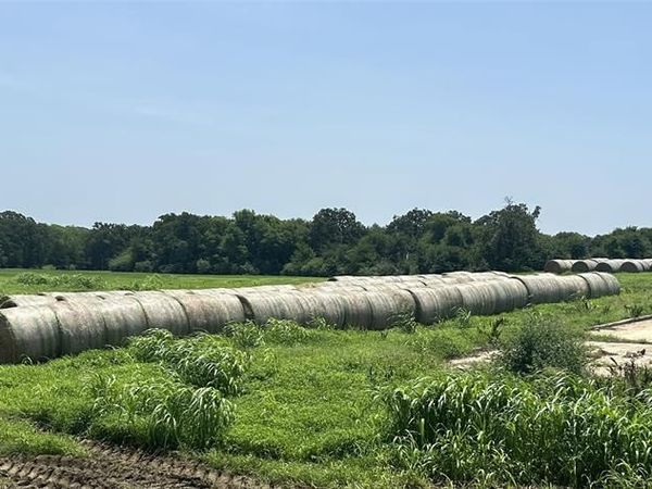 Lot 3 County Road 3358, Saltillo, TX 75478