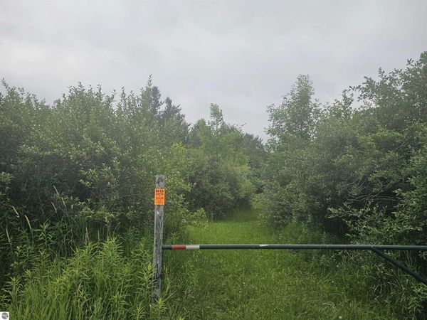 Barber Road, Hale, MI 48739