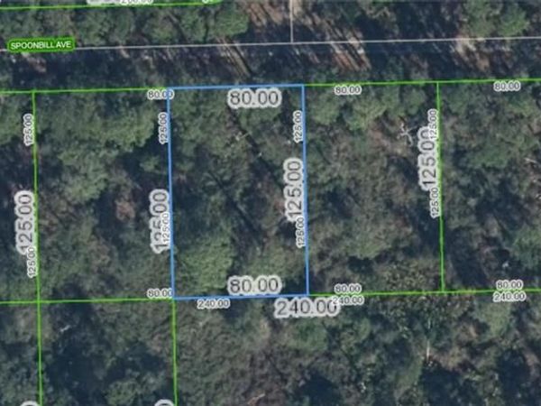 3224 Spoonbill AVE , LAKE PLACID, FL 33852