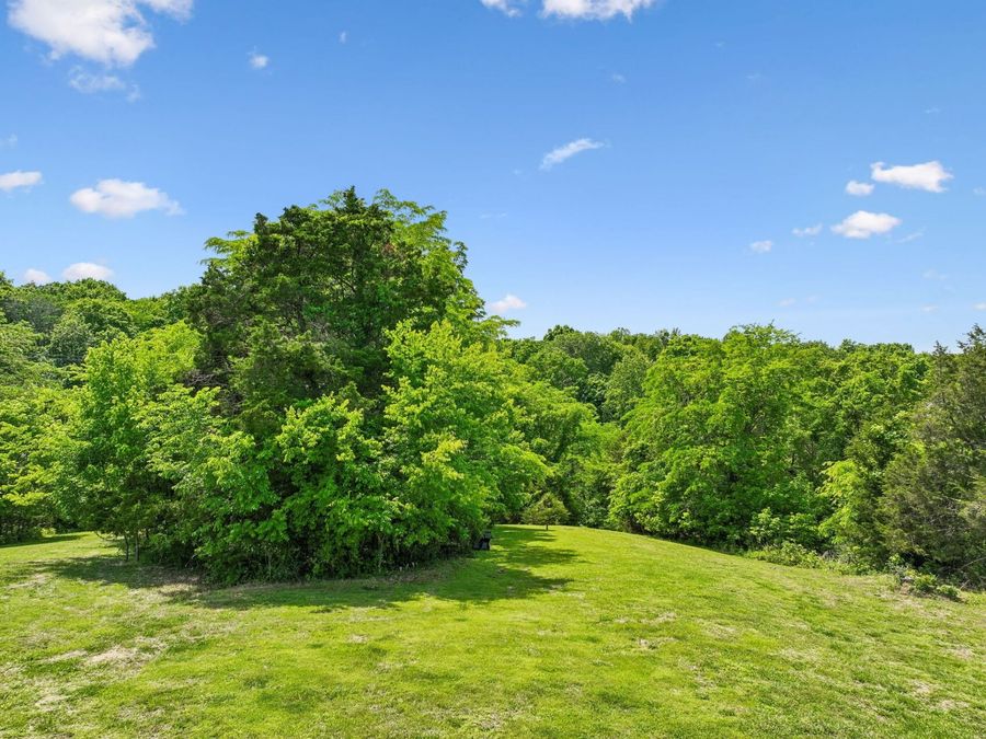 Property Image 63