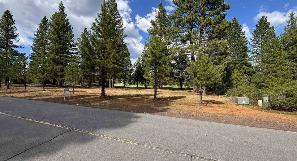 91 Creekhaven Drive, Lake Almanor, CA 96137 Photo