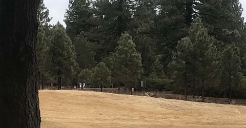 91 Creekhaven Drive, Lake Almanor, CA 96137 Photo