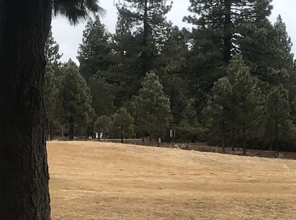 91 Creekhaven Drive, Lake Almanor, CA 96137 Photo