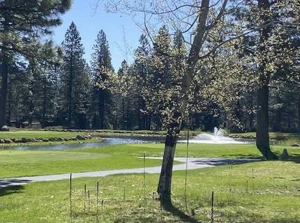 91 Creekhaven Drive, Lake Almanor, CA 96137 Photo