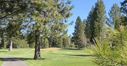 91 Creekhaven Drive, Lake Almanor, CA 96137 Photo