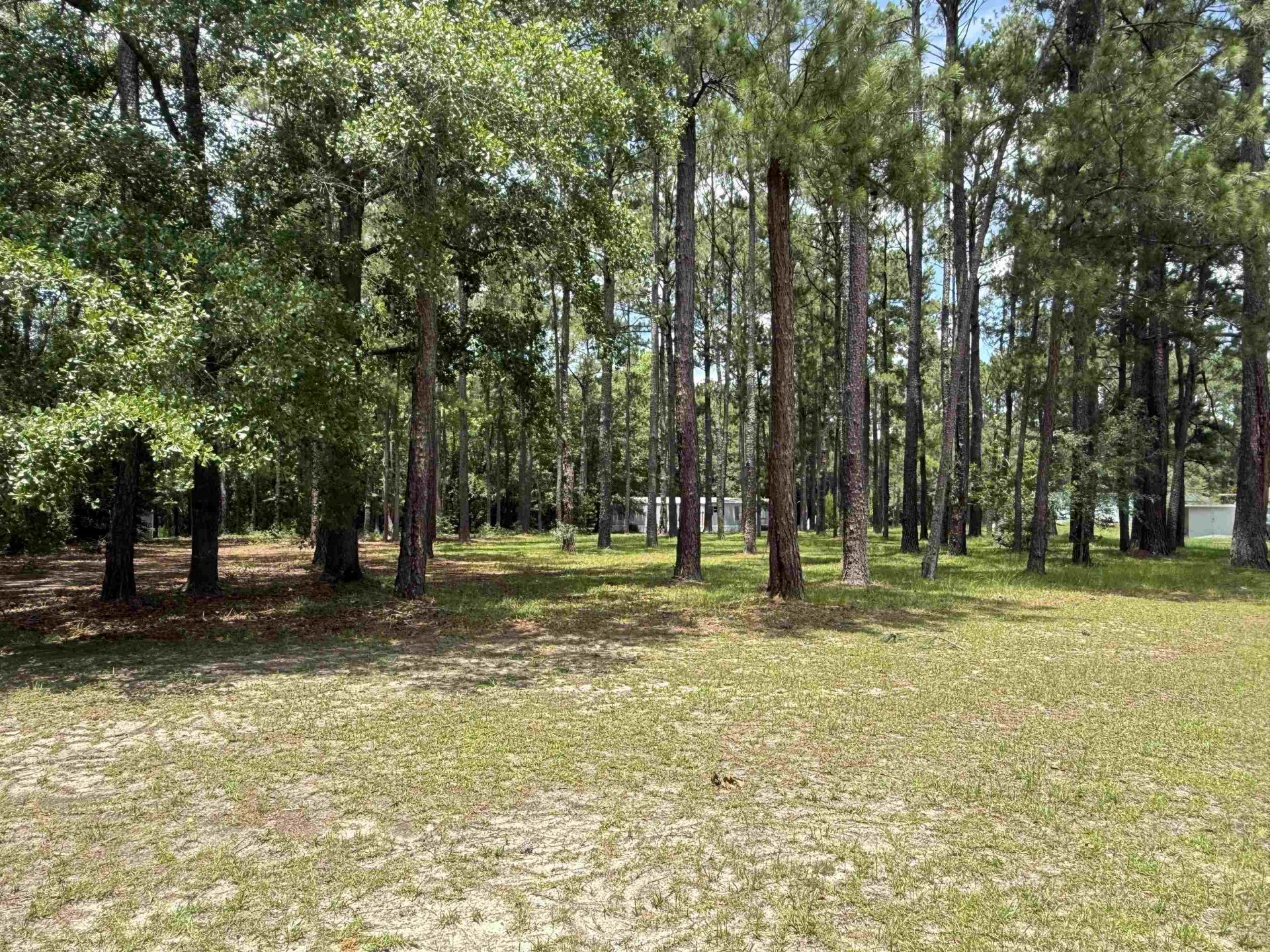 7241 Lawrimore Ln. Photo 22