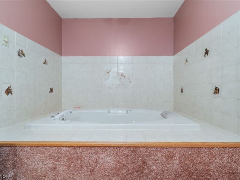 5510 Steiner Road, Sterling, OH 44276 Photo 29
