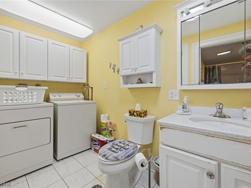 268 Forest Street, Oberlin, OH 44074 Photo 19