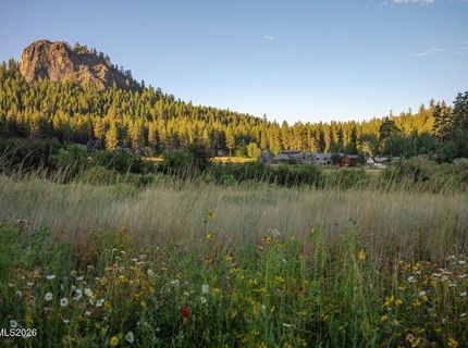 777 Rodeo Drive, Glenbrook, NV 89413 Photo