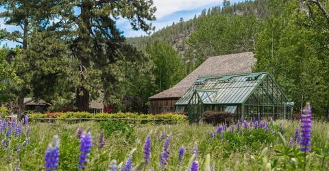 777 Rodeo Drive, Glenbrook, NV 89413 Photo