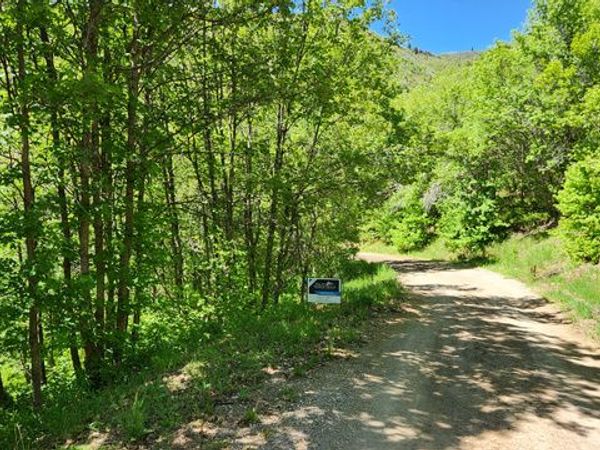22465 N ELK MEADOW DR , Unit O44, Fairview, UT 84629