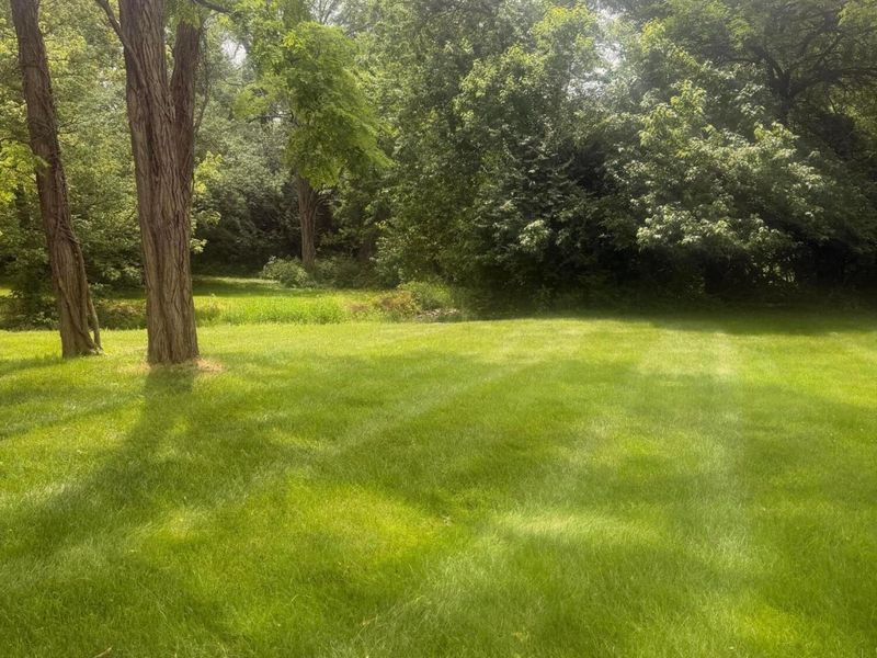 5236 Hayden Run Road, Hilliard, OH 43026 Photo 16