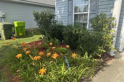 843 Killian Station Drive  photo 4
