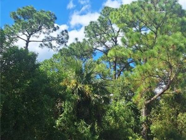 526 OSAGE AVENUE S, LEHIGH ACRES, FL 33974