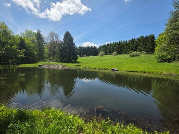 0 Lanning Road , Naples, NY 14512