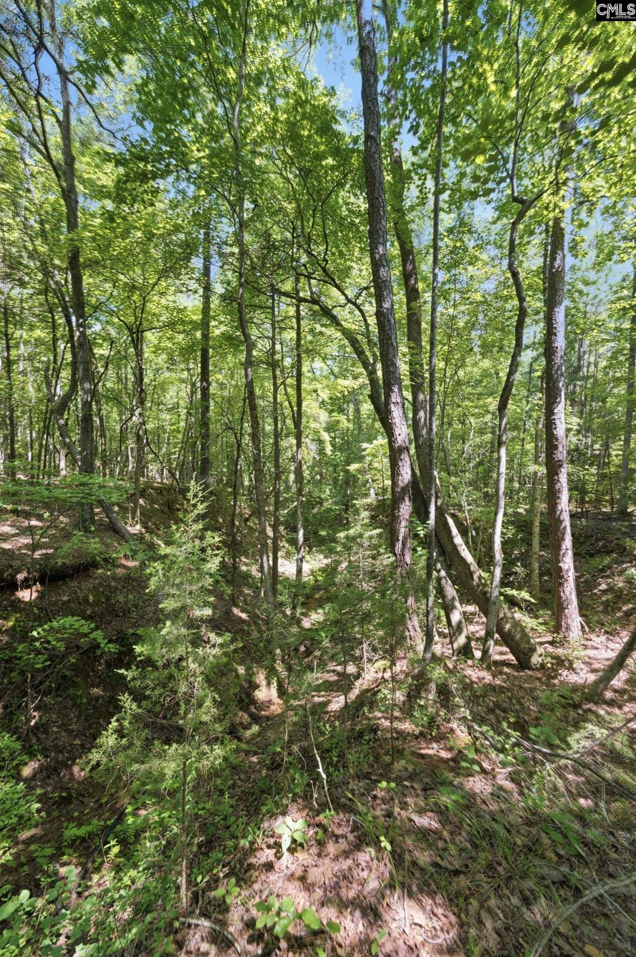 1579 Rockton Thruway Road  Photo 38