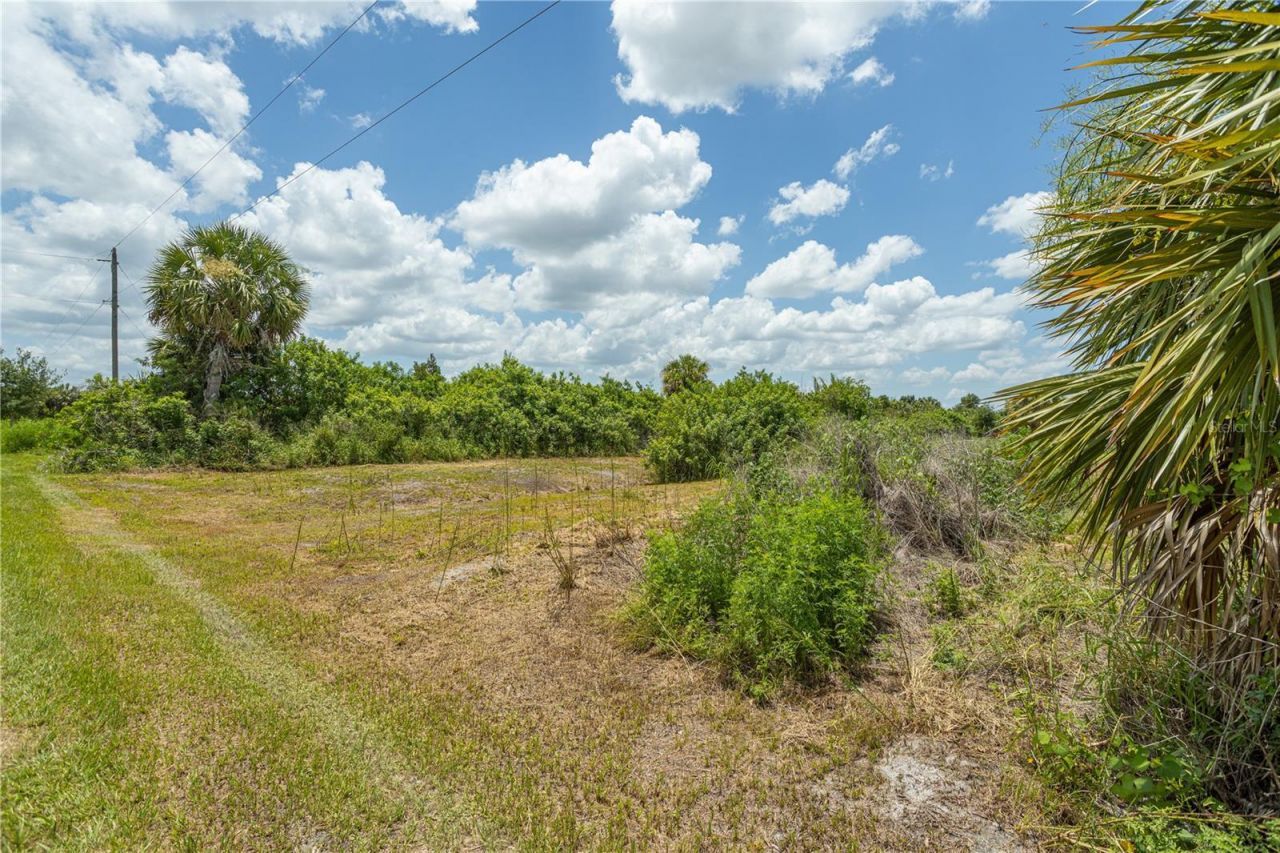 29051 Maris Drive , Punta Gorda, FL 33982 Photo