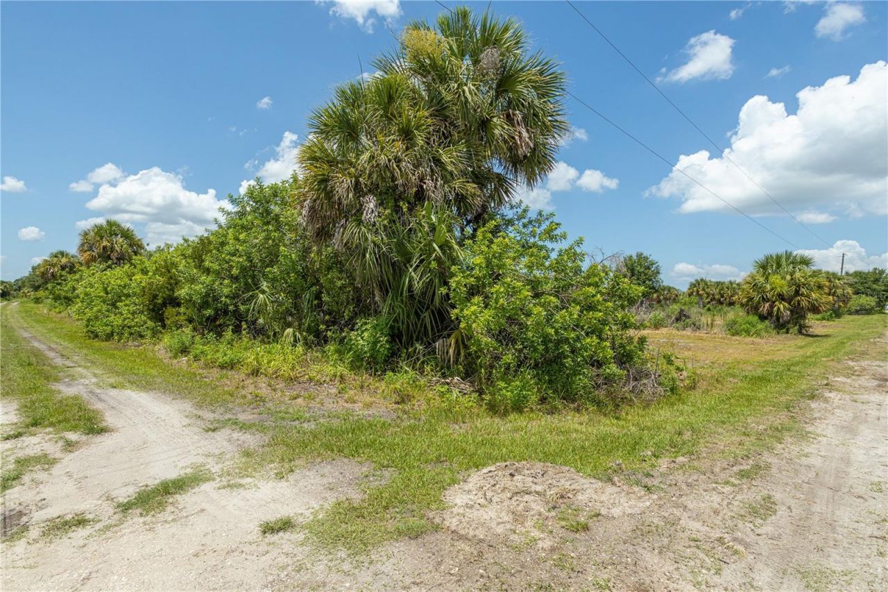 29051 Maris Drive , Punta Gorda, FL 33982 Photo