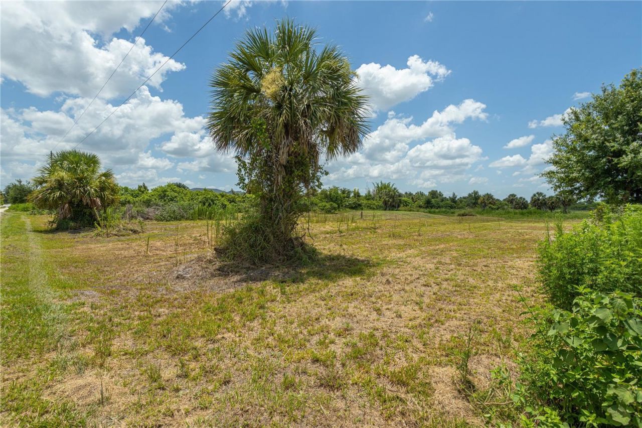 29051 Maris Drive , Punta Gorda, FL 33982 Photo