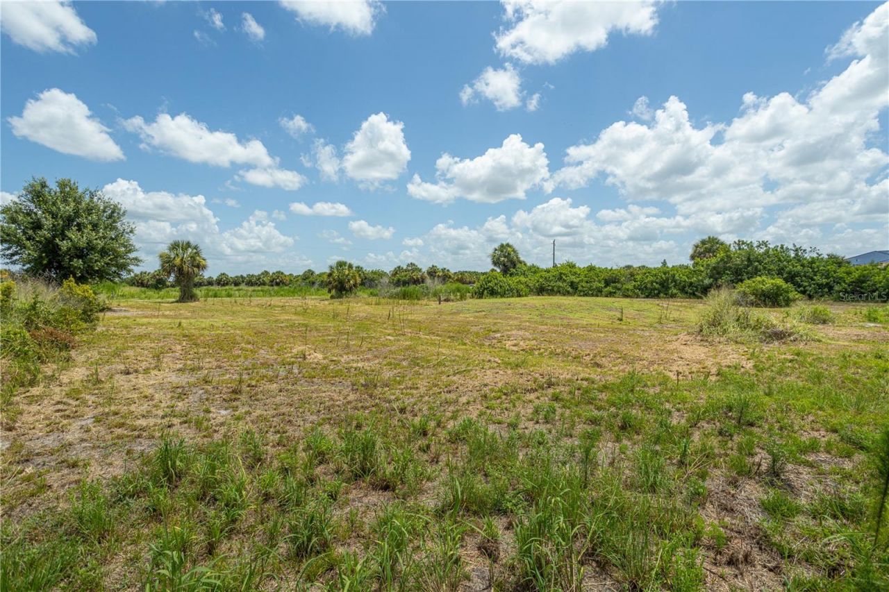 29051 Maris Drive , Punta Gorda, FL 33982 Photo