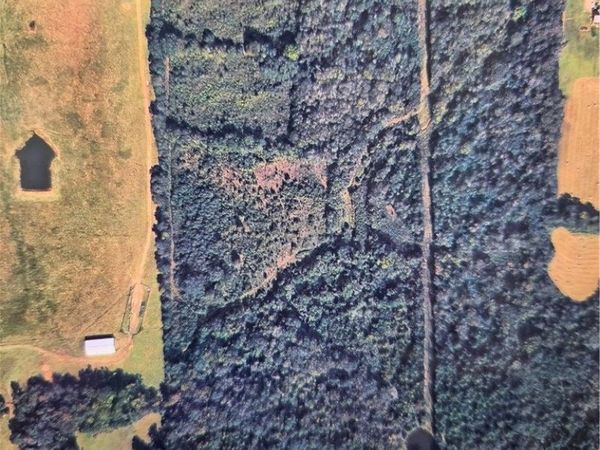 89 Acres Parks Road, Scranton, AR 72836