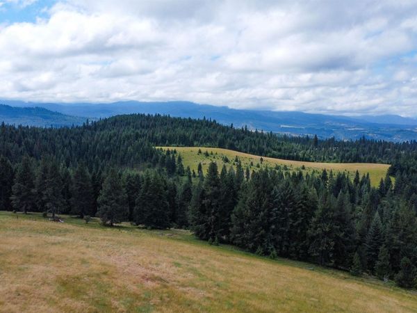 TBD Red Fir Rd, Kooskia, ID 83539