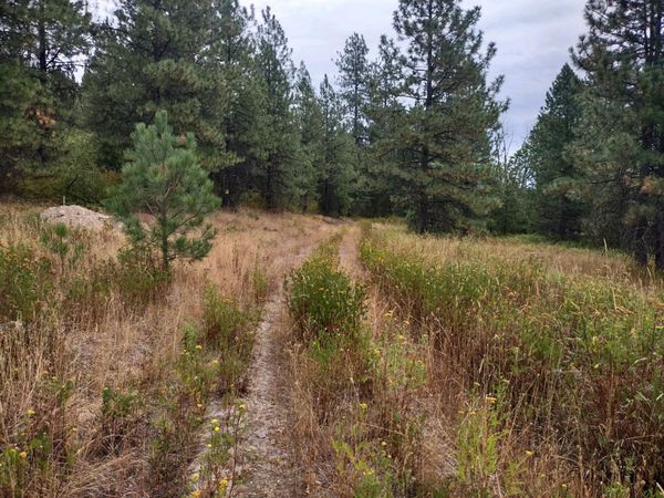 XX Little Sweden Rd, Valley, WA 99181