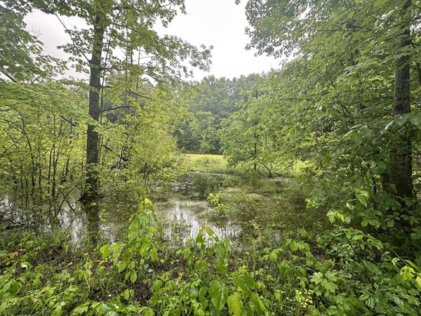 Parcel 1 Tobias Road, Elmira, MI 49730